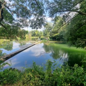 Réunion publique fleuve Charente @ Salle des fêtes